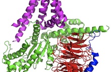 Image - Graphic illustration of tangled spiral protein signaling complex