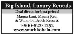 bigisland display ad