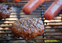 burgers on the grill