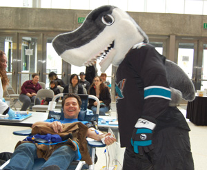 Sharks blood drive