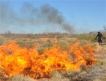 Australia fire