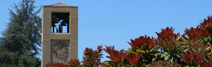 Photo of Stanford Clock Tower in the Fall