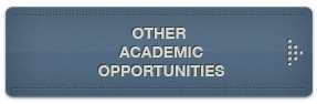 Other Academic Opportunities