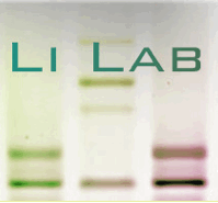 Li Lab