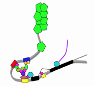 Montgomery Lab