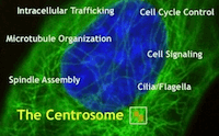 Sterns Lab