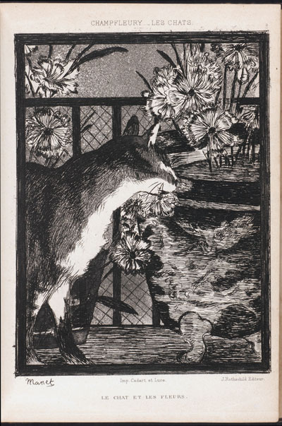 Manet cat etching