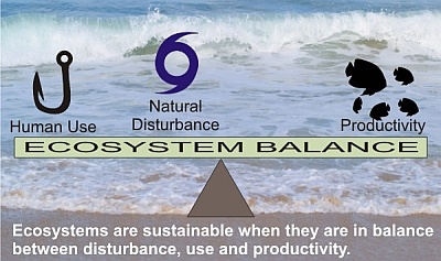 Ecosystems are sustainable when they are in balance between disturbance, use and productivity.