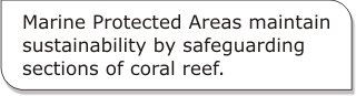 Marine Protected Areas maintain sustainability by safeguarding sections of coral reef. 