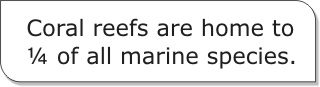 Coral reefs are home to 1/4 of all marine species.