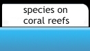 species on coral reefs