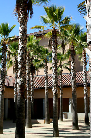 Schwab Courtyard 