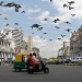 Guys on a moped with birds overhead