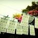 Printed money on a clothes line