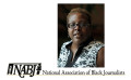 Michelle Johnson named NABJ Journalism Educator of the Year in 2013