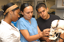 Stanford Medical Youth Science Program