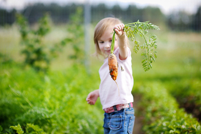 Preschool-age girl holding a carrot in a field/Photo: Shutterstock