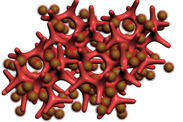 An illustration of a new battery electrode made from a composite of hydrogel and silicon nanoparticles (Si NP). /Courtesy of Yi Cui