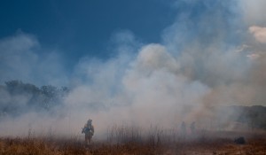 Burn at Jasper Ridge