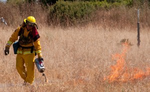 Burn at Jasper Ridge