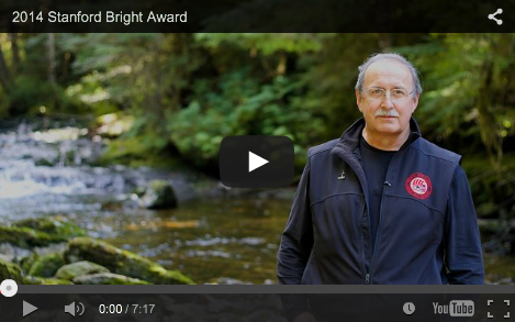 Bright Award video