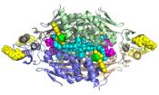 Image - Color-coded structural diagram of bacterial enzyme complex