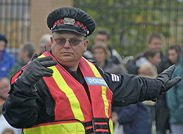 Stress hormones moonlight as immune-system traffic cops 