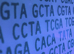 Ask Stanford Med: Genetics chair answers your questions on genomics and personalized medicine