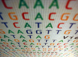 Researchers develop new method for tracing human history and identifying clues to rare diseases