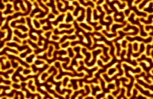 Image - Maze-like magnetic structure imaged by magnetic-force microscope