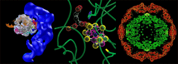 SSRL Structural Molecular Biology program