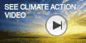 button: See Climate Actions